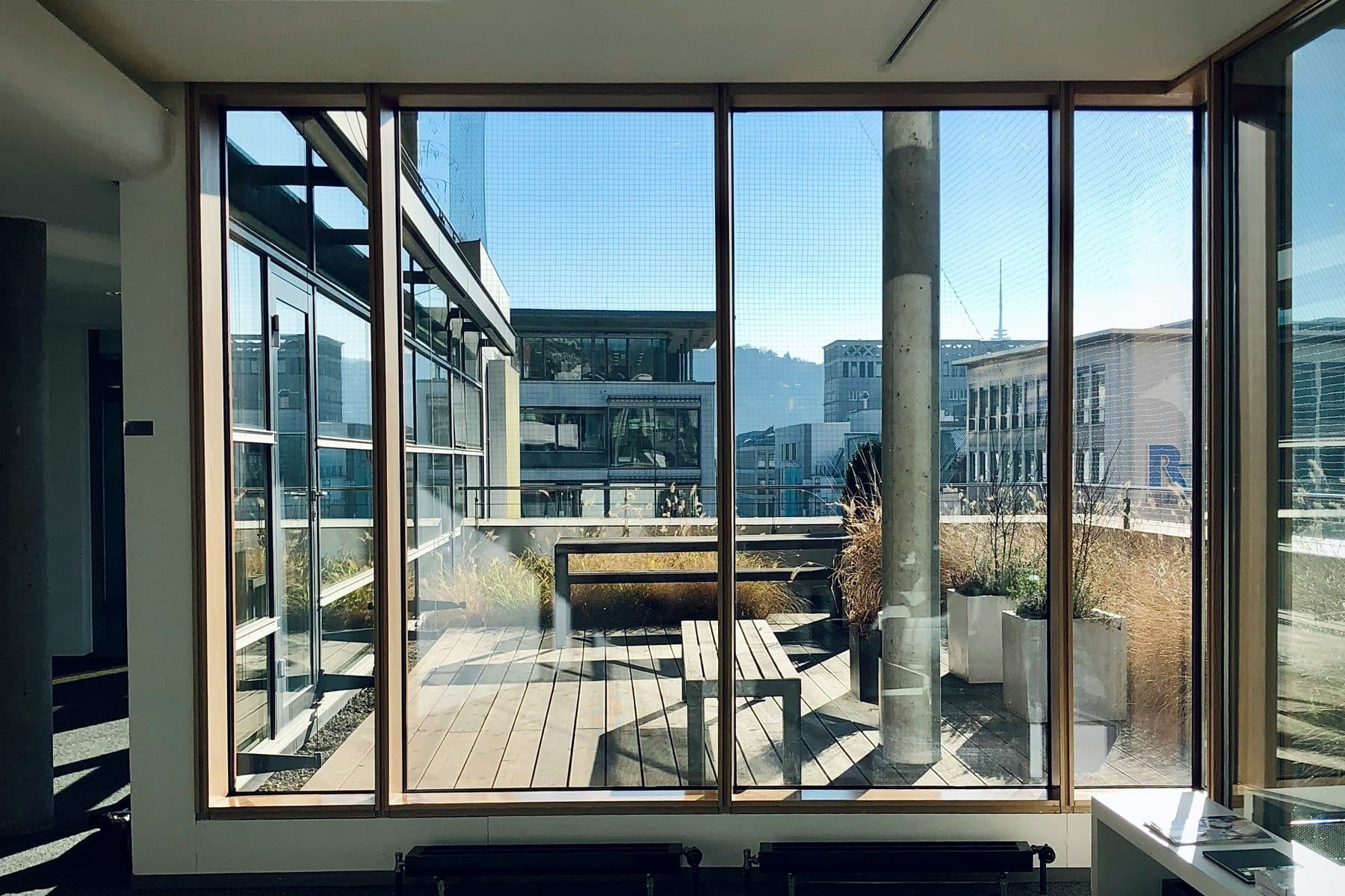 Austin skyline seen between the branches of two oak trees at Lady Bird Lake.