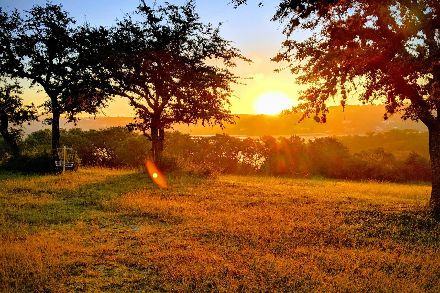 Texas Hill Country sunset with live oaks silhouetted against a warm sky.